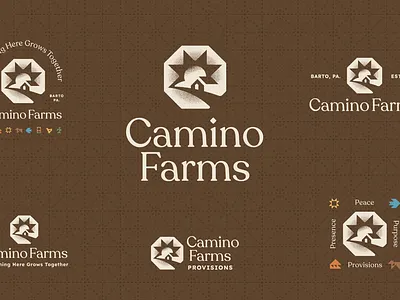 Camino Farms | Visual Identity accessibility adobe illustrator branding graphic design illustration logo non for profit typography web design