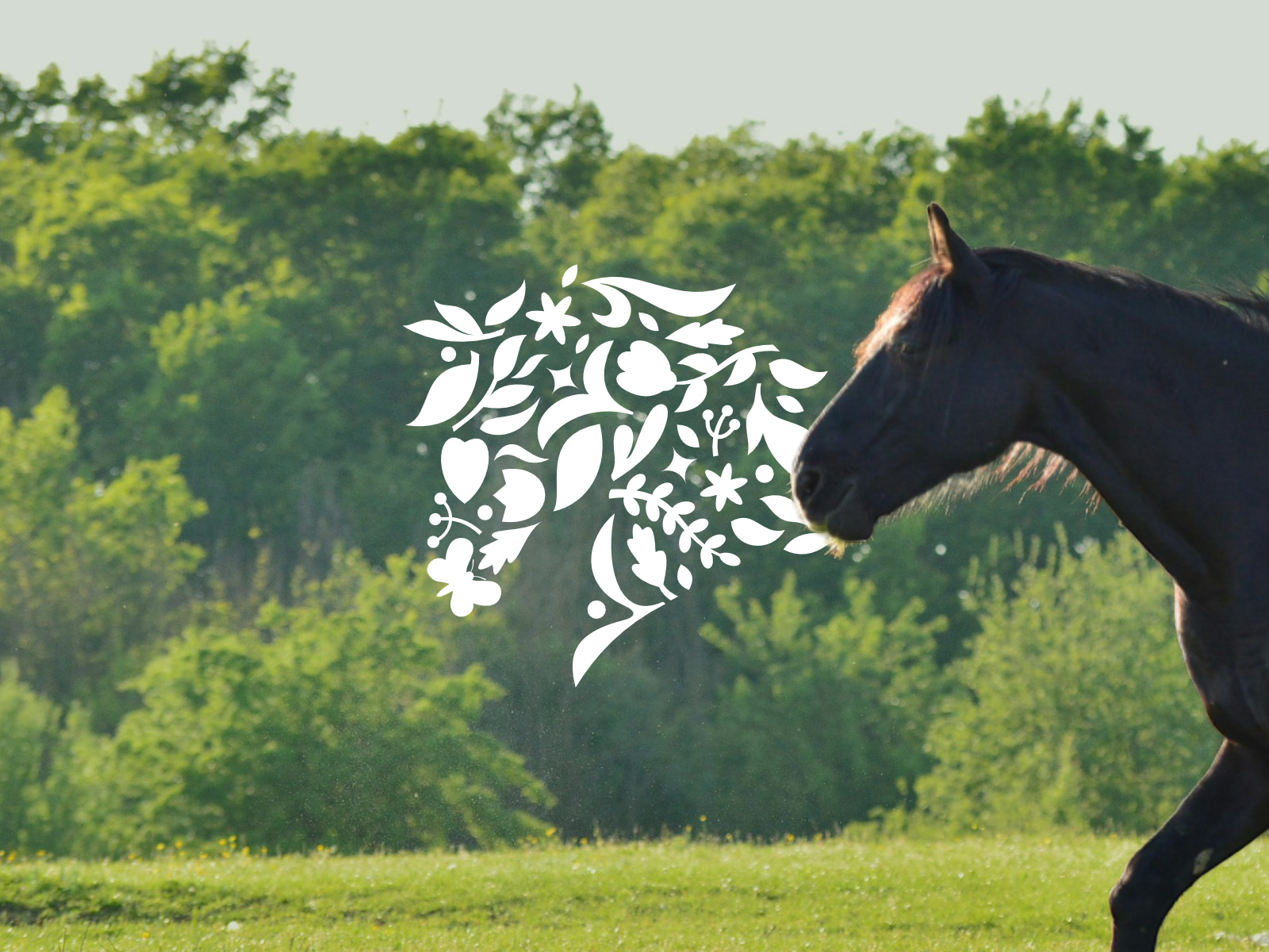 Example of I Will Make You A Unique Animal Logo