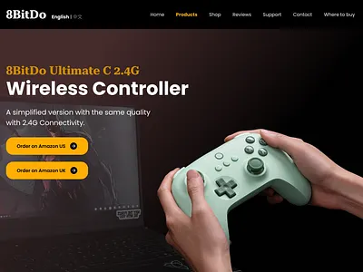 Landing page of a controller landing page ui webdesign