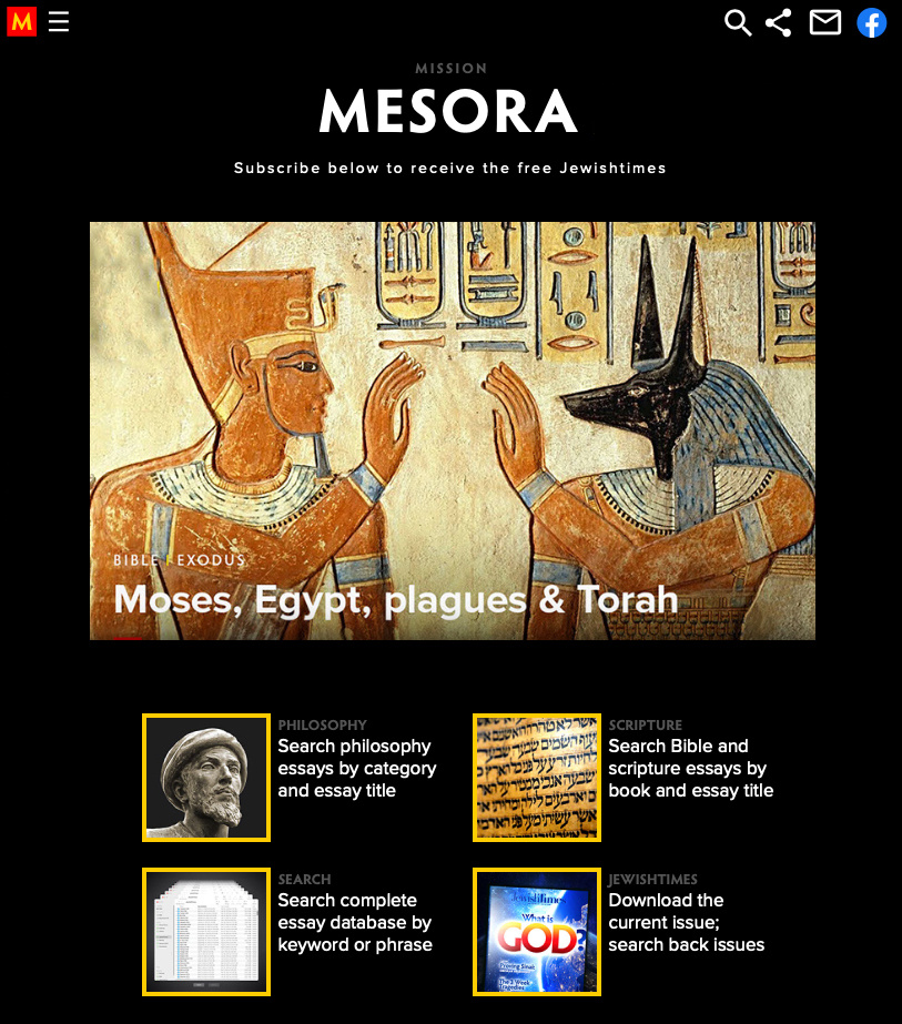 Example of Branding / Web / Ppt