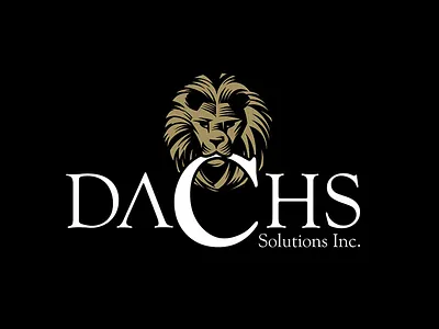 Dachs Solutions Inc. Logo brand branding corporateid graphic design id logo