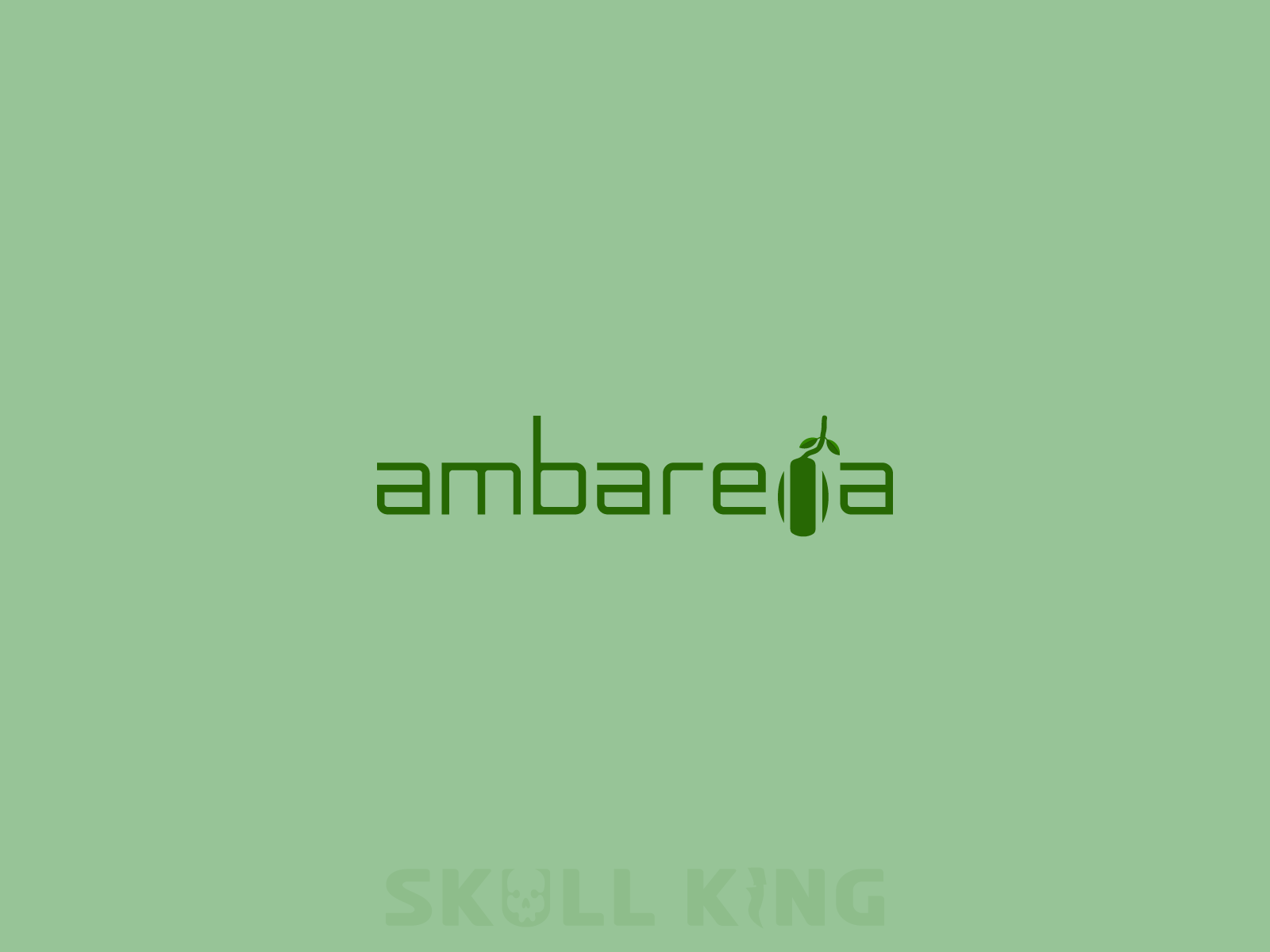 ambarella wordmark logo