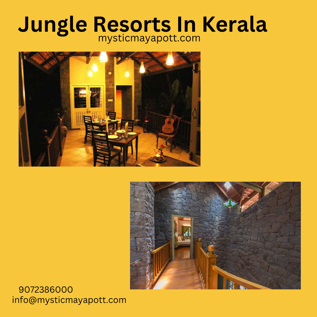 jungle-resorts-in-kerala-by-mystic-mayapott-on-dribbble