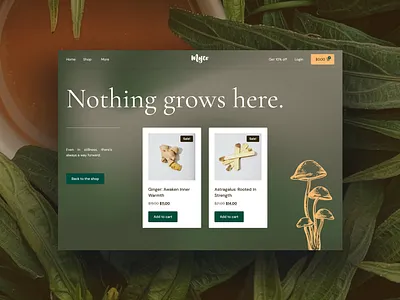 404 Page Not Found 404 error 404 page 404 page not found ecommerce elementor green website inspiration mushroom natural pharmacy natural shop organic shop product superfoods shop supplements shop template ui uiux ux website wordpress
