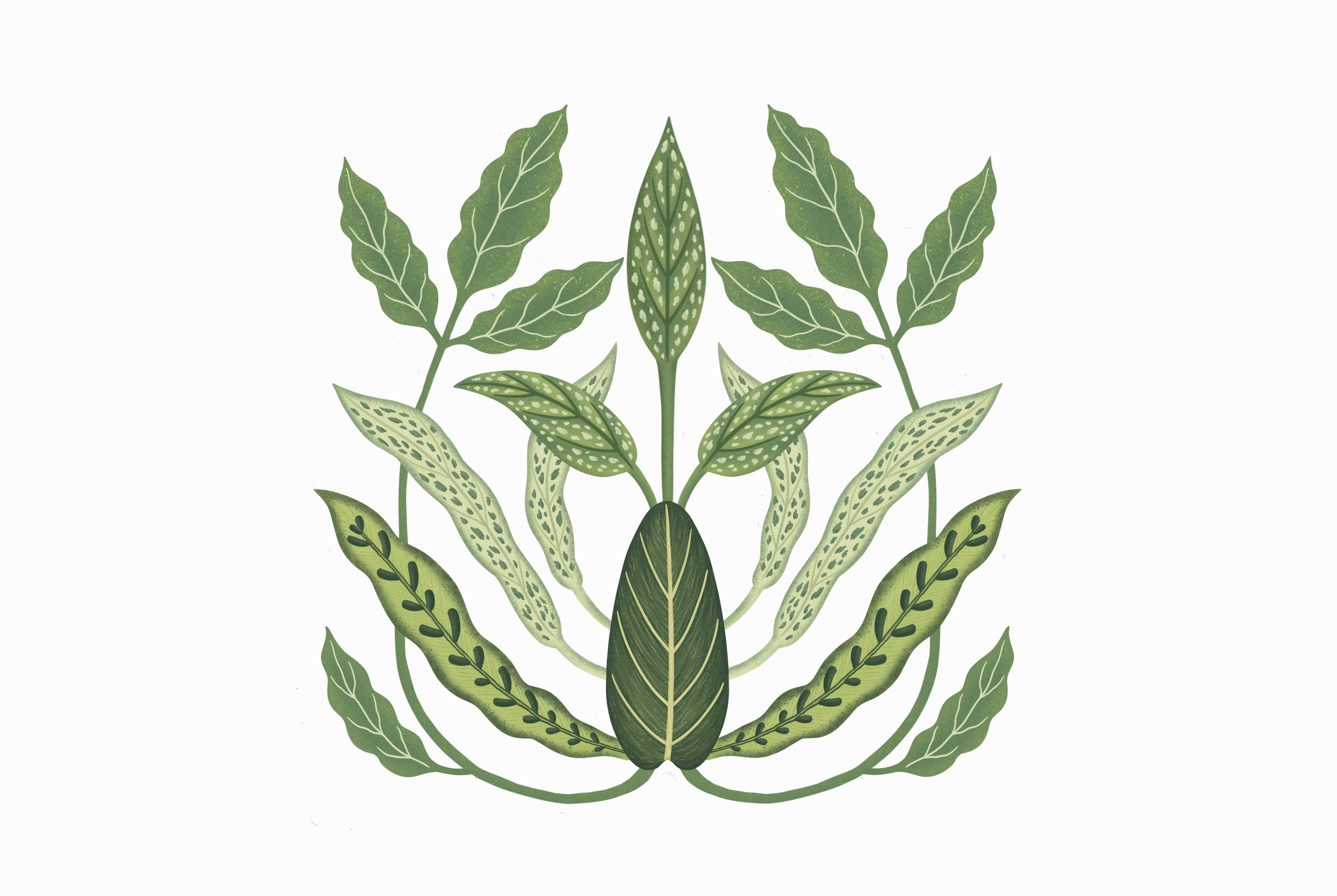 Illustration and pattern for wallpaper and fabrics design digital illustration fabric fabric design fabric print graphic design illustration pattern pattern design plant illustration print design seamless pattern wallpaper wallpaper design wallpaper pattern