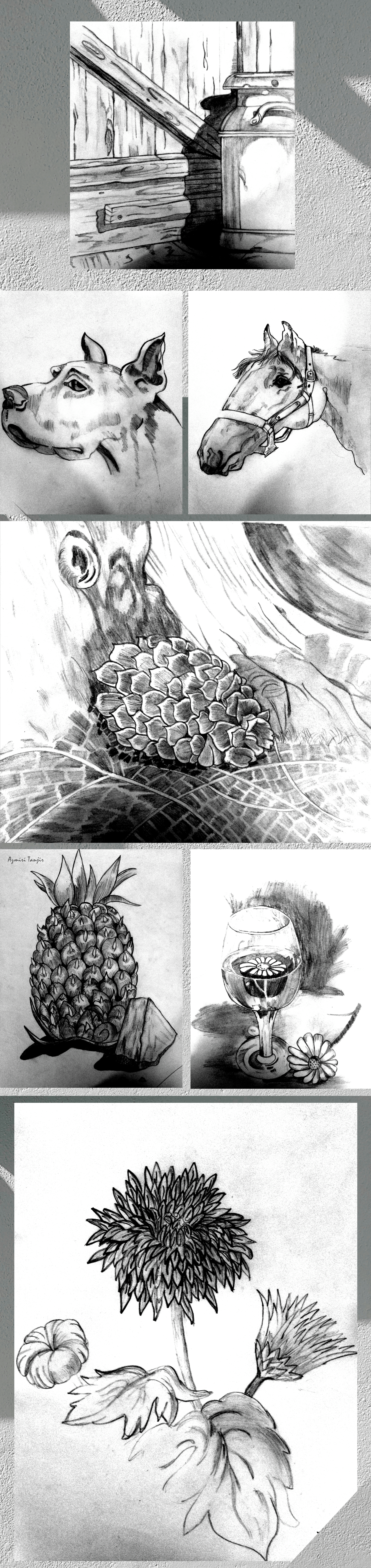 Pencil Sketches graphic design