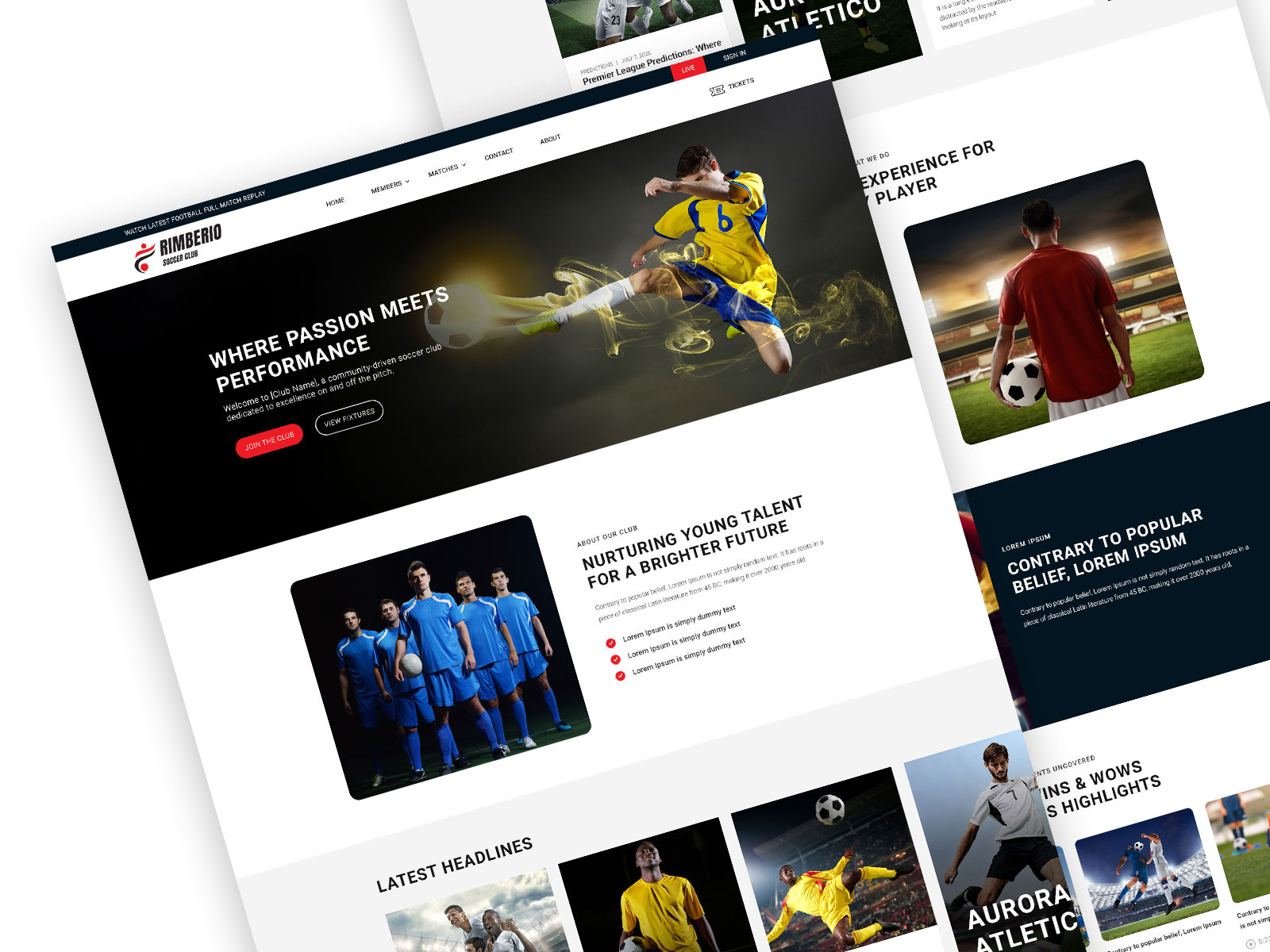 Example of Creative Landing Page Design Services