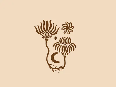 Follow the stars botanical branding classic design earth illustration leaves moon mystic nature plants sun vector water