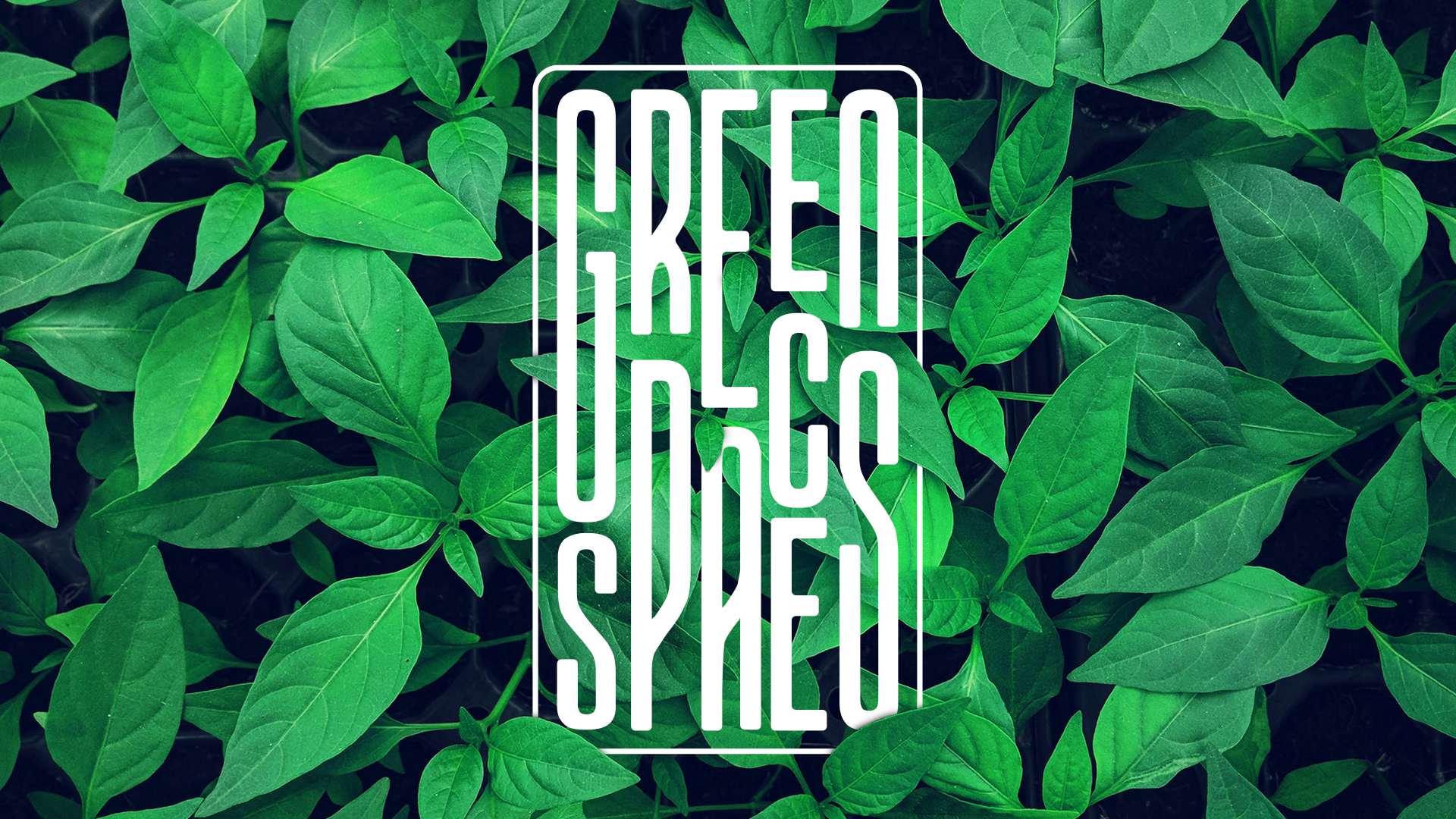Green Spaces animation branding graphic design logo ui