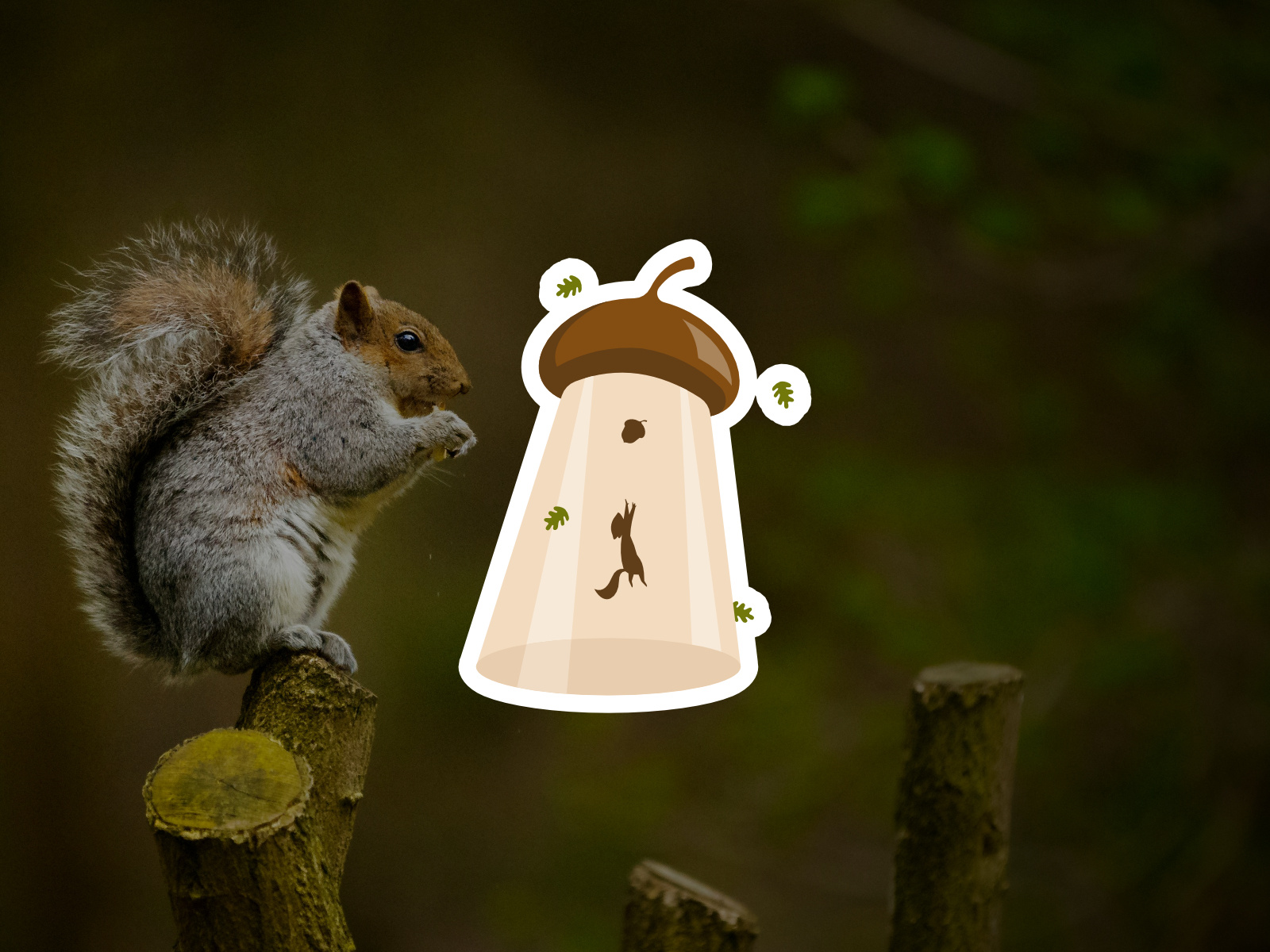 Example of I Will Make You A Unique Animal Logo
