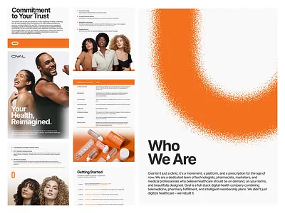 Oval - Brochure Design branding business business brochure case company profile creative design graphic design layout study template ui
