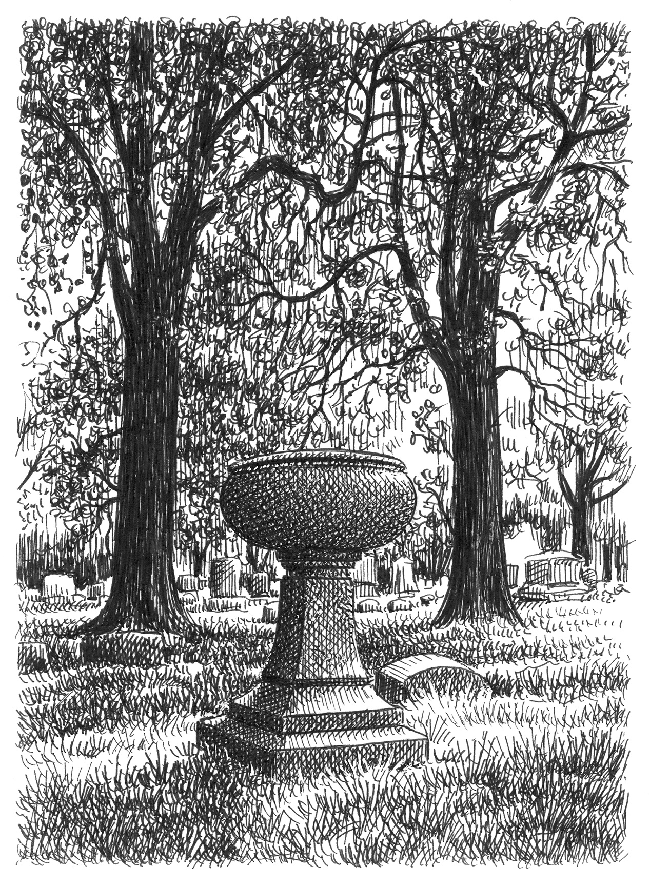 Urn and Shadow art artist artwork drawing hand drawn illustration ink