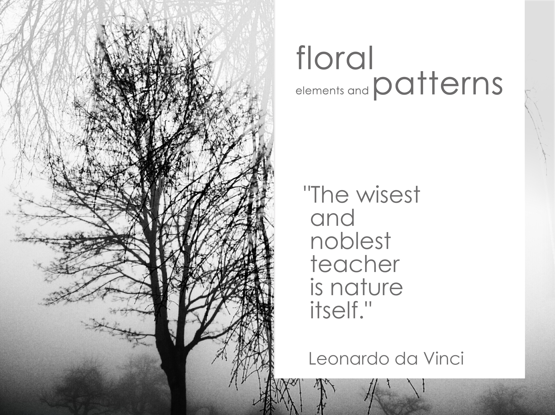 Monochrome Leaves Seamless Pattern / Design Template Set design fashion design fashion elements floral pattern illustration leaves monochrome logo nature symbolic ornament pattern print surface pattern design surfacedesign textile template whiteblack element