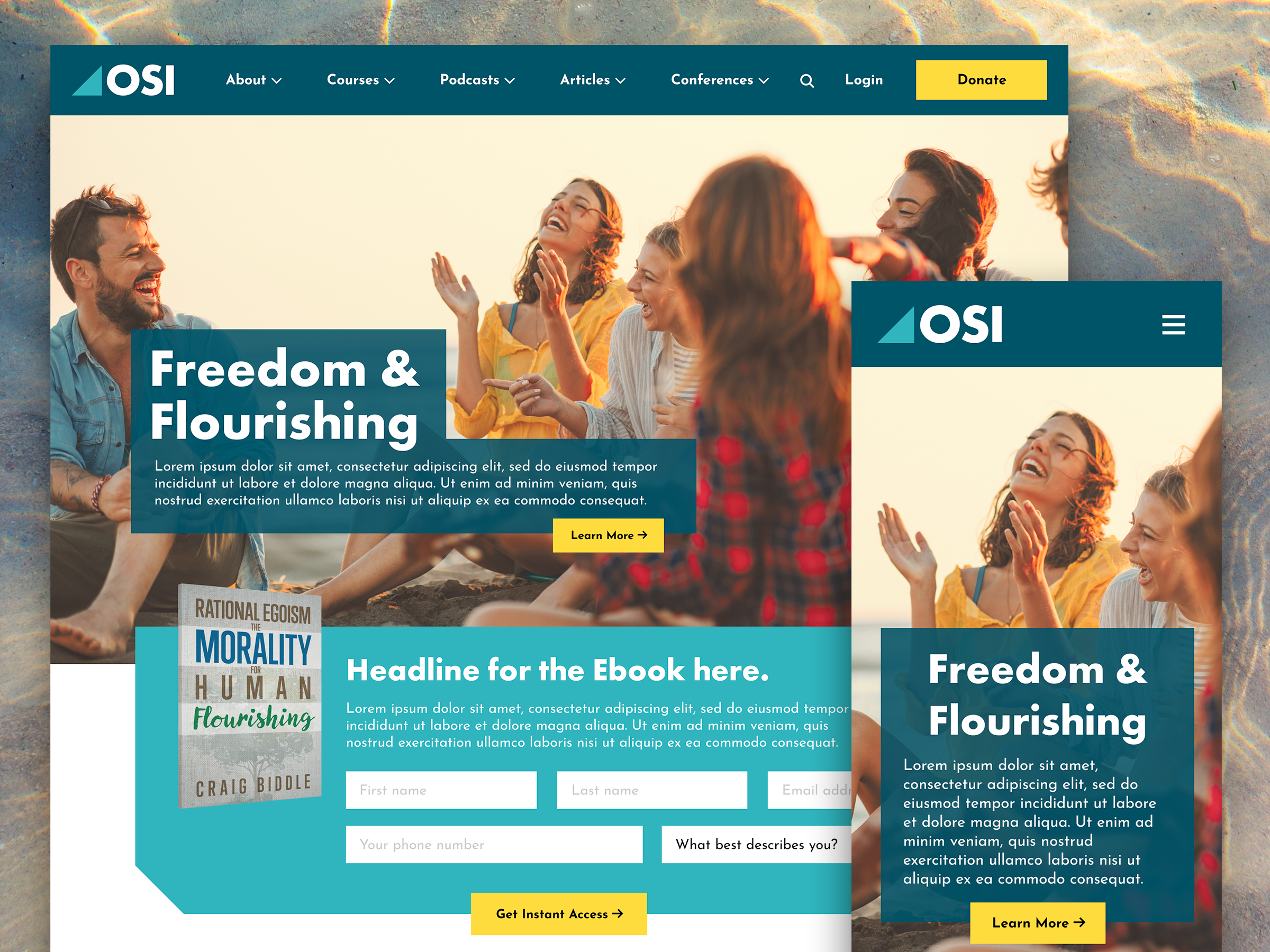 Example of OSI Custom Website Design Concept