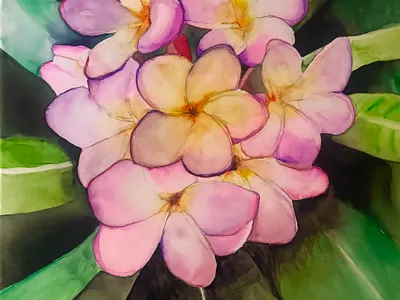 For the Love of the Plumeria abstract flowers still life water color