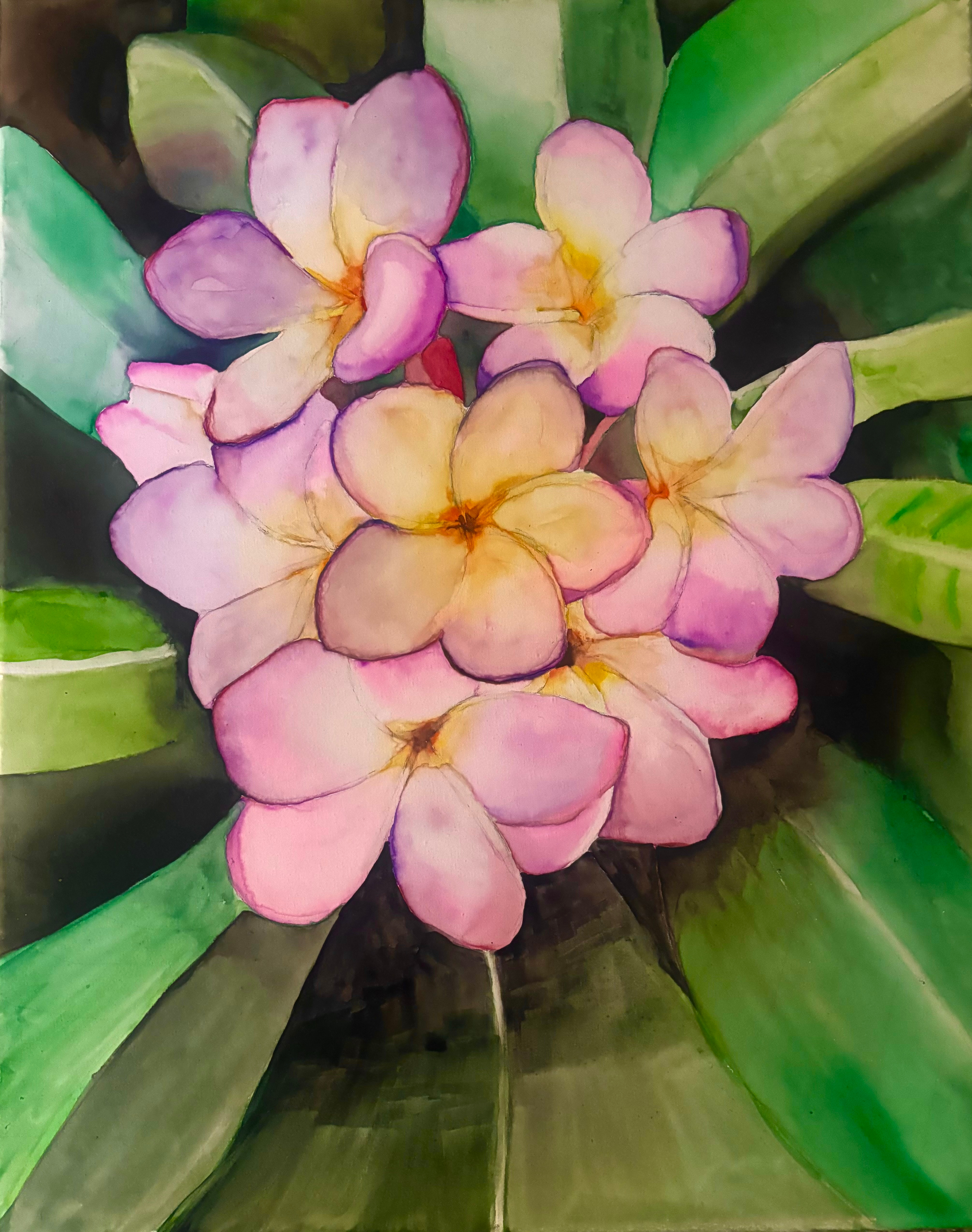 For the Love of the Plumeria