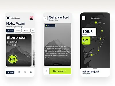 Travel Path Advisor UI Design branding design figma illustration mobile design ui user interface
