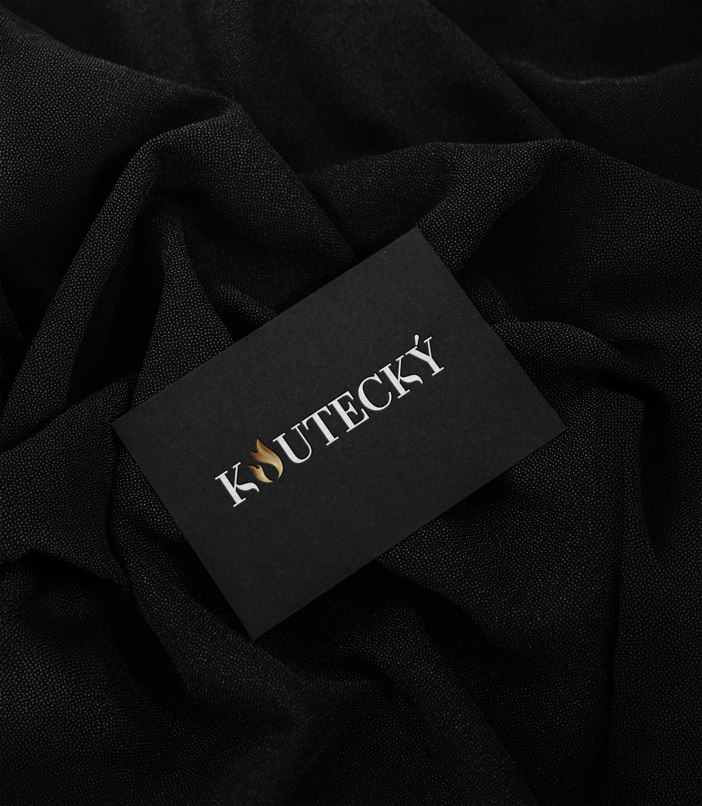 Logo Design and Branding branding design graphic design illustration logo vector