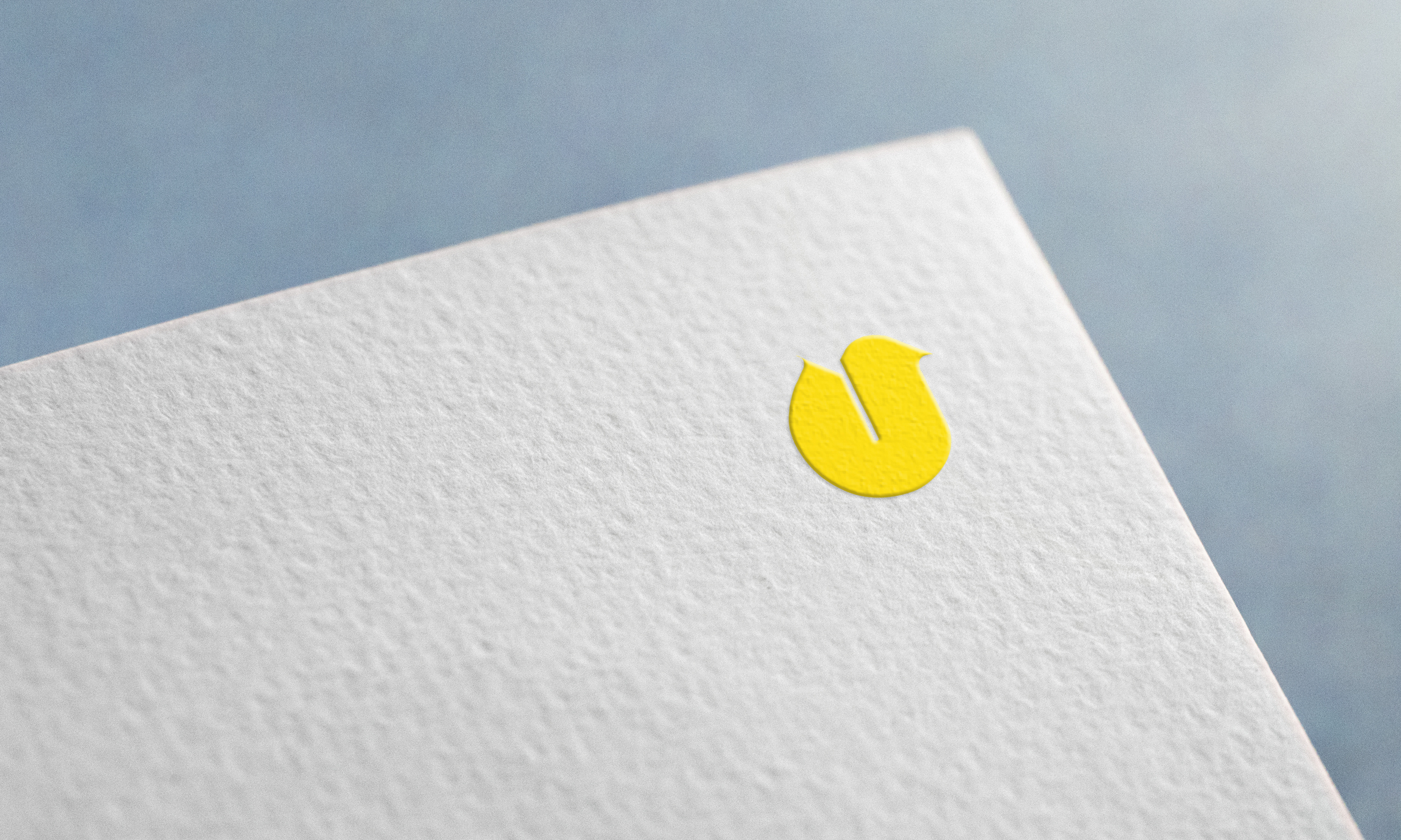 Example of Professional Logo Design Services