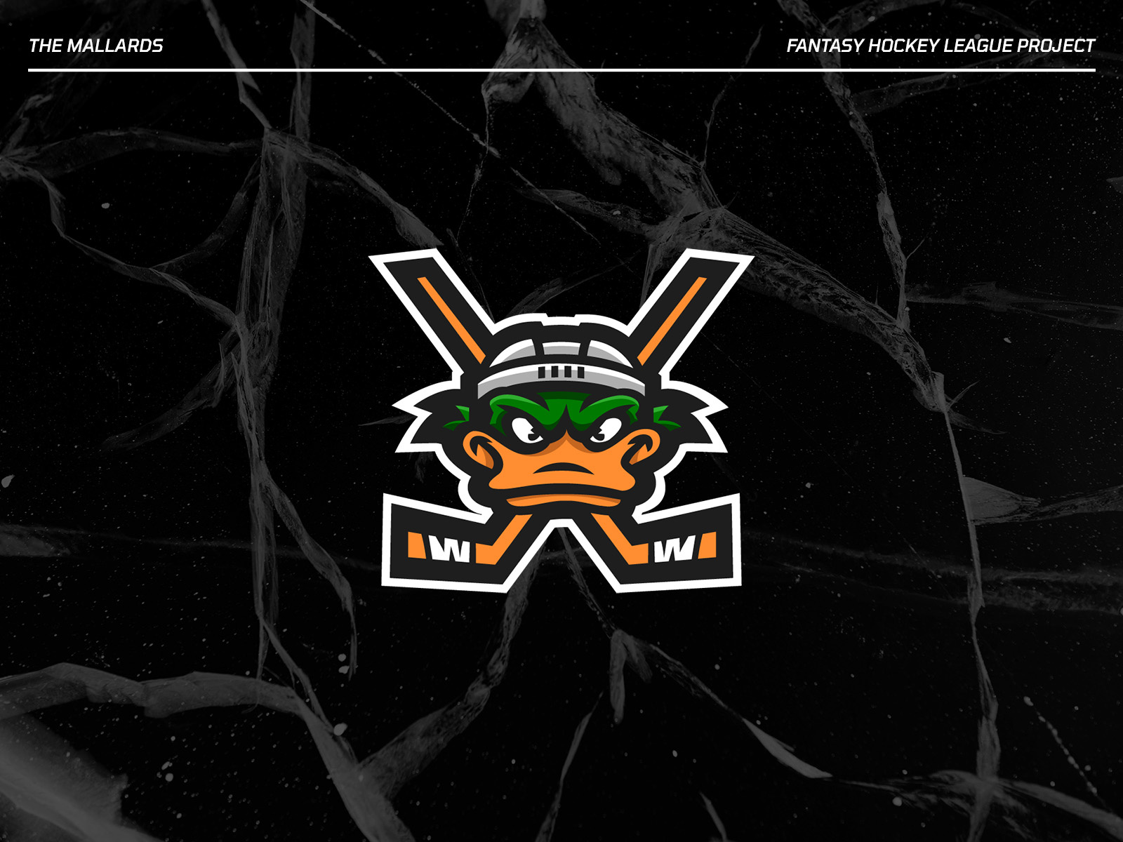 Example of Logo Design For Sports Teams Or Brands