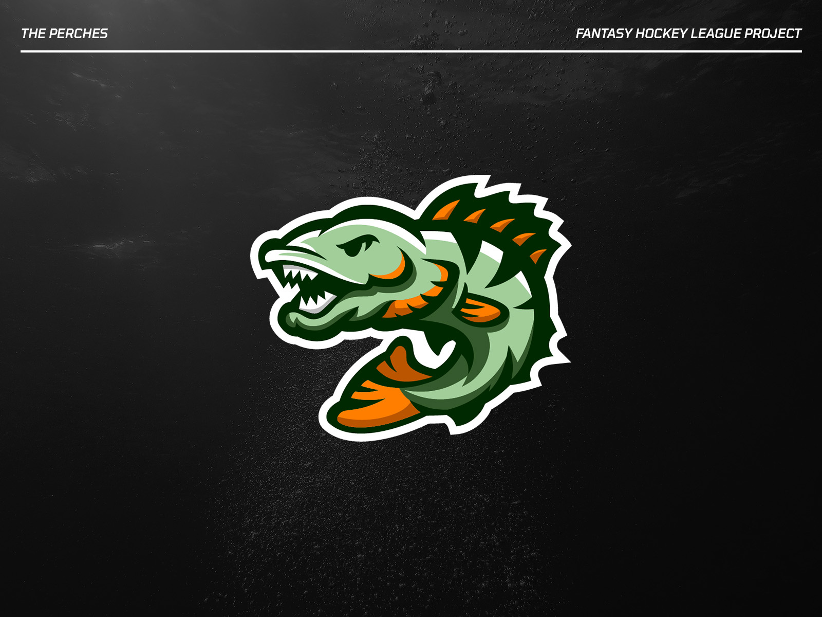 Example of Logo Design For Sports Teams Or Brands