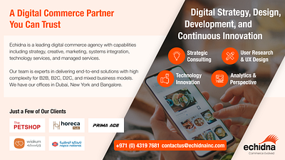 ECHIDNA SOFTWARE PVT.LTD. ecommerce mobiledesign onlinemarketing uiux webdevelopment website design