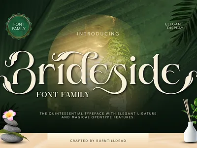 Brideside beauty botanical font branding font custom font editorial font elegant serif feminine font floral serif font font design font style free font invitation leaf font logo font luxury font modern font serif font wedding font