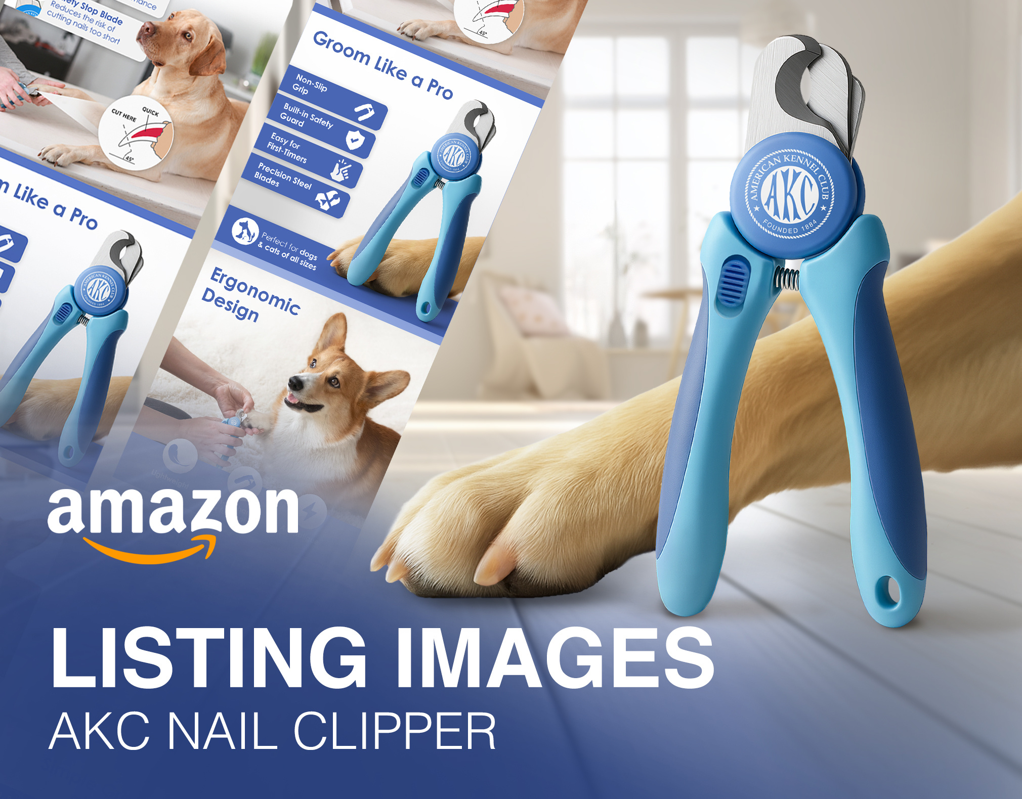Example of Amazon Listing Images, Infographics