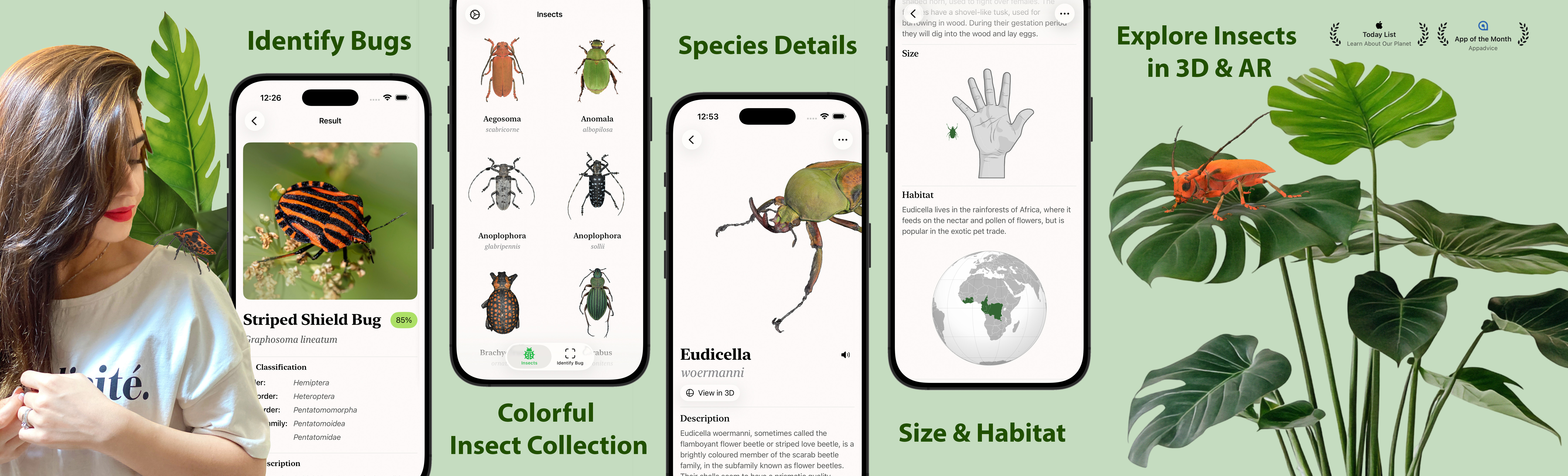 Insecta - Identify Bugs app store application bugs icon insects ios screenshots