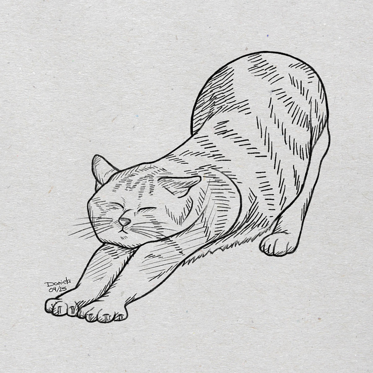 Cats practice - Ink digital drawing by Daniela Meza on Dribbble