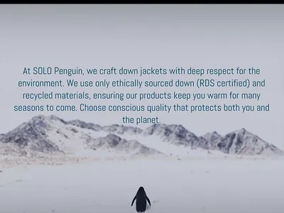 Solo Penguin branding figma motion graphics ui