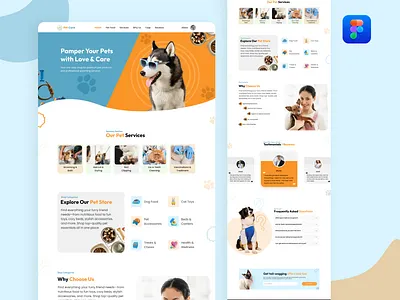 Pet Care Website Design modern design trendy design ui design web design website website design
