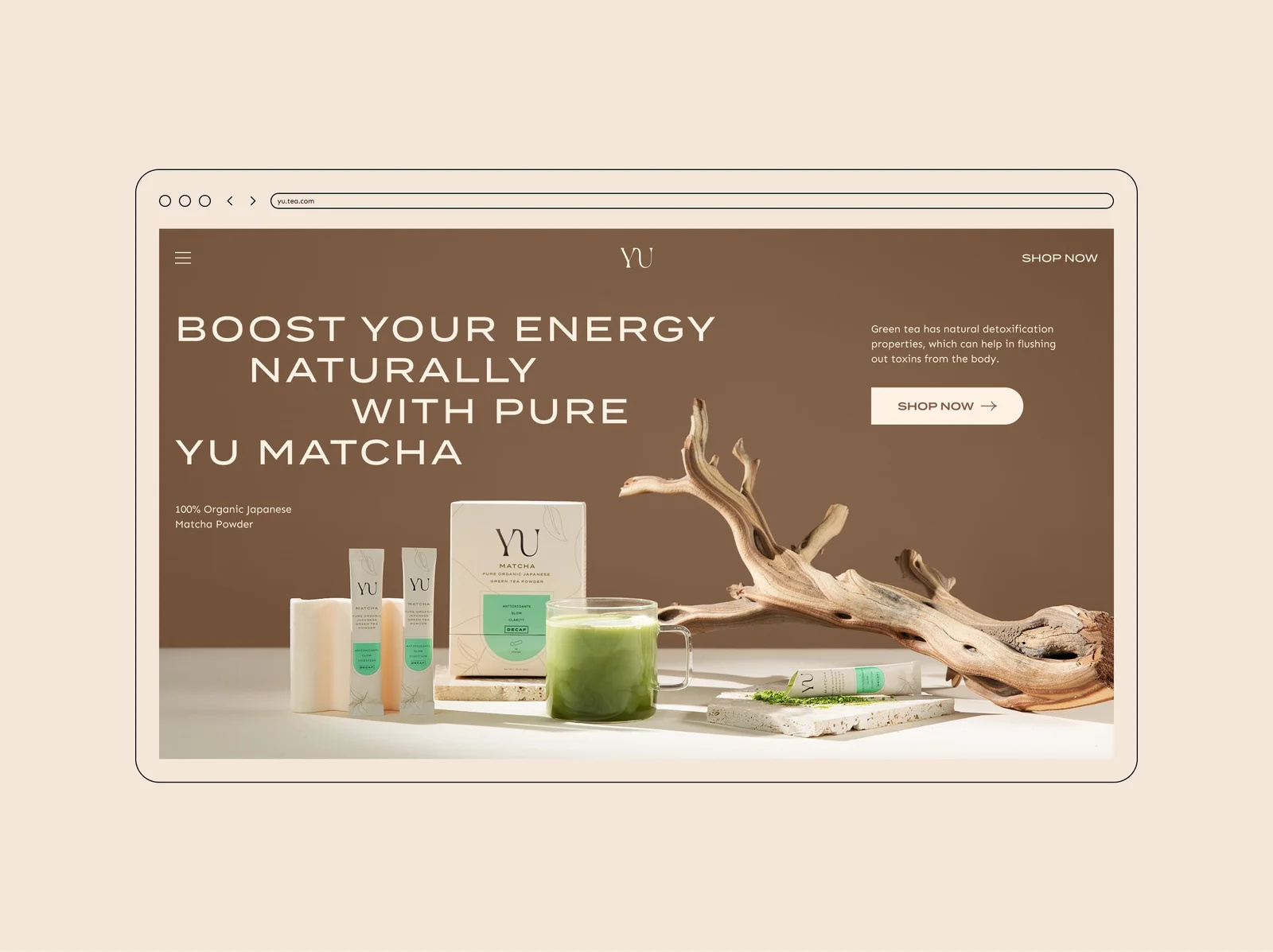 Example of Web Design And Development 