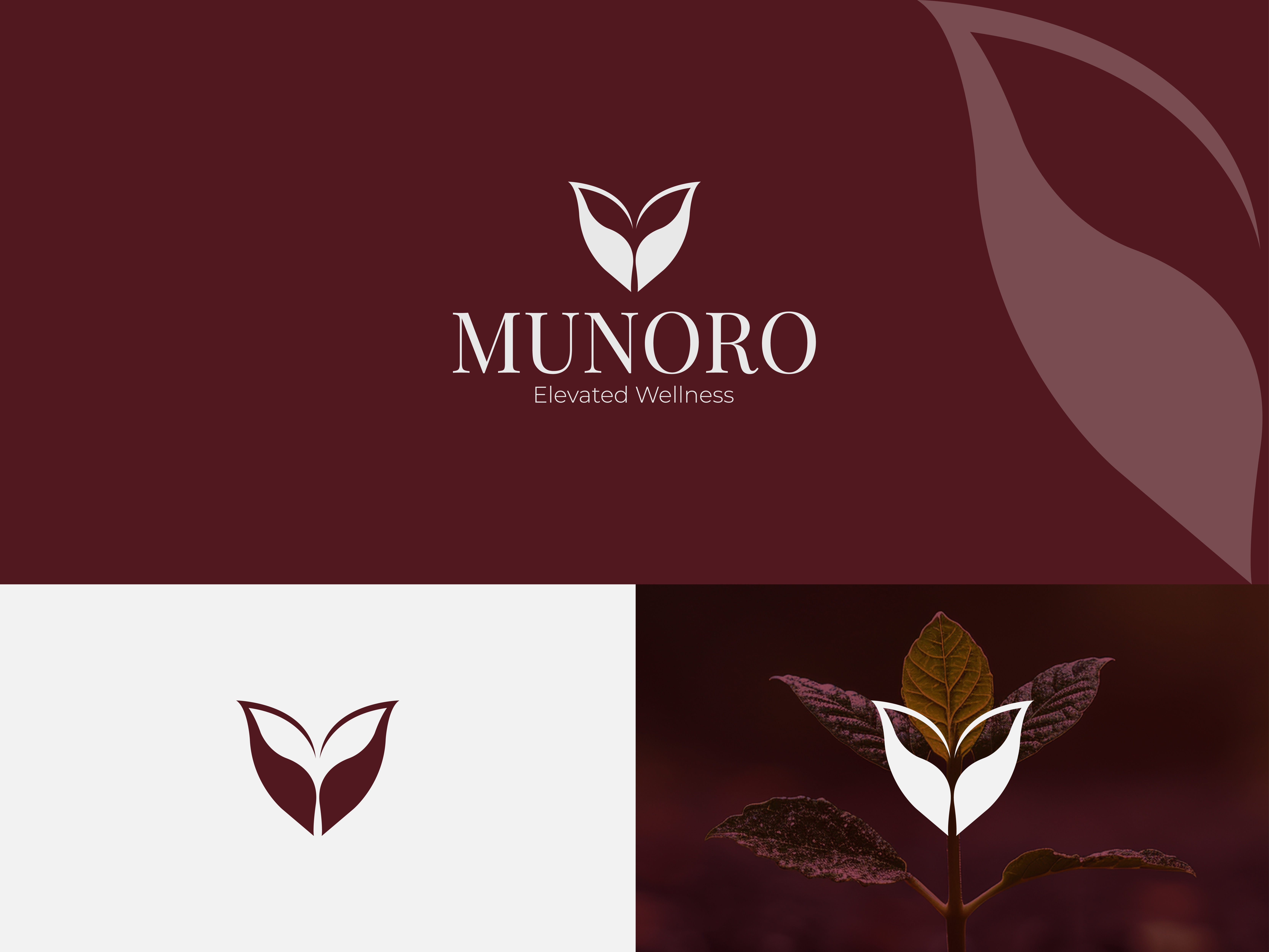 Munoro | Elevated Wellness Brand Identity & Packaging Design brandidentity branding graphic design logo logodesign luxurybranding skincarebrandin wellnessbrand