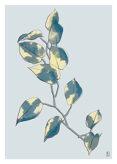 Devil's ivy book illustration botanic concept digital art digital drawing drawing editorial fauna flora illustration plant