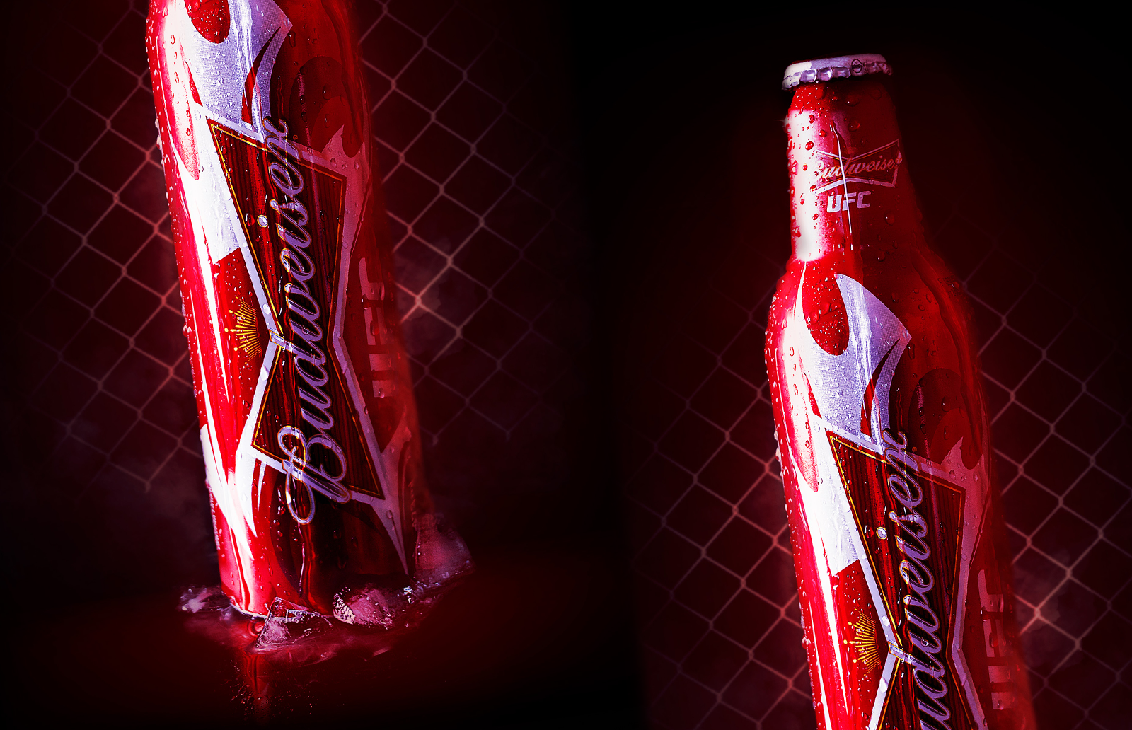 Budweiser x UFC — Sports Culture Concept graphic design photography
