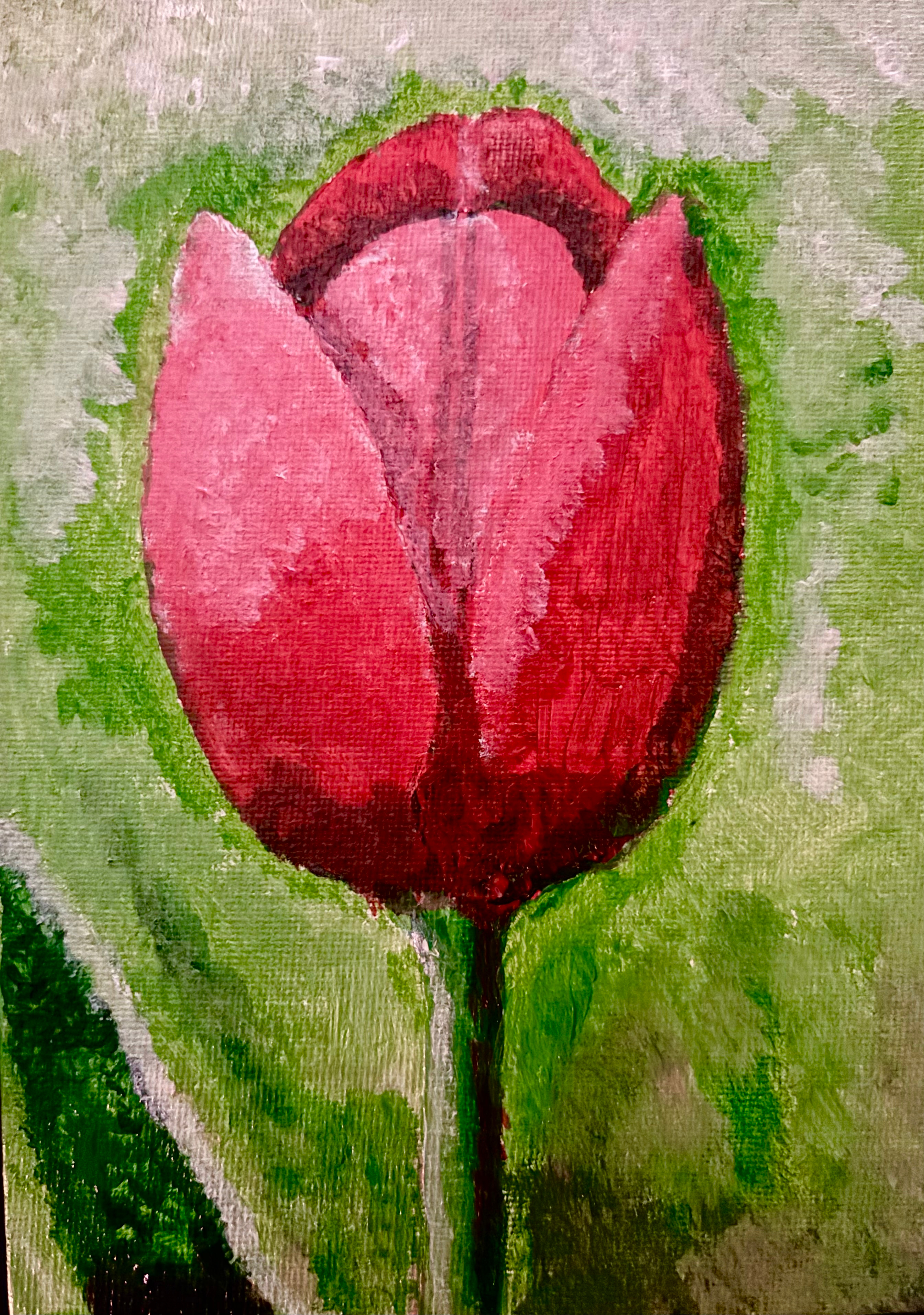 A Whimsical Tulip