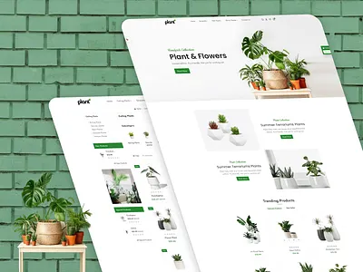 🌿 Modern E-commerce Web Design for Scalable Online Stores cleanui ecodesign ecommerceui greenui minimalui modernui natureui plantui plantwebsite uidesigner uxdesign webuidesign