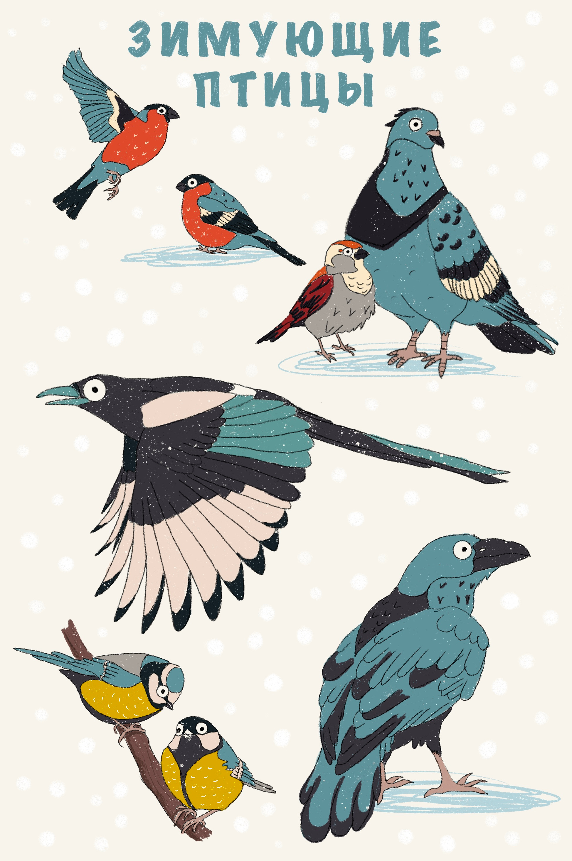 Resident birds art birds bullfinch crow illustration magpie pigeon residents sparrow tits winter