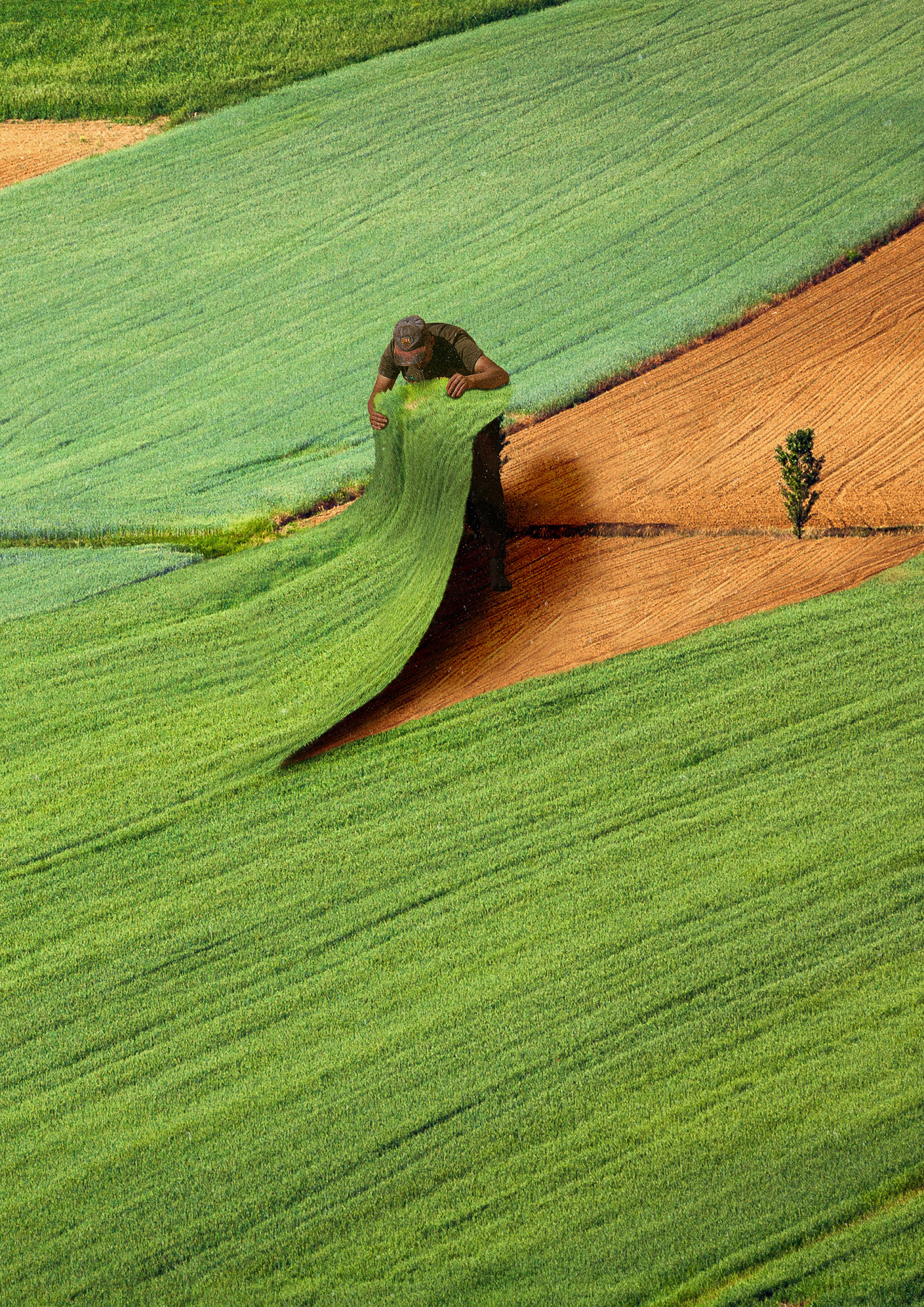 green carpet album cover book cover collage cover design design digital art graphic design illustration poster poster design 그래픽디자인 꼴라주 꼴라쥬 콜라주 콜라쥬