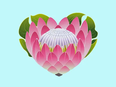 Love Botanicals Protea design editorial flowers gradients graphic design illustration logo typography vector