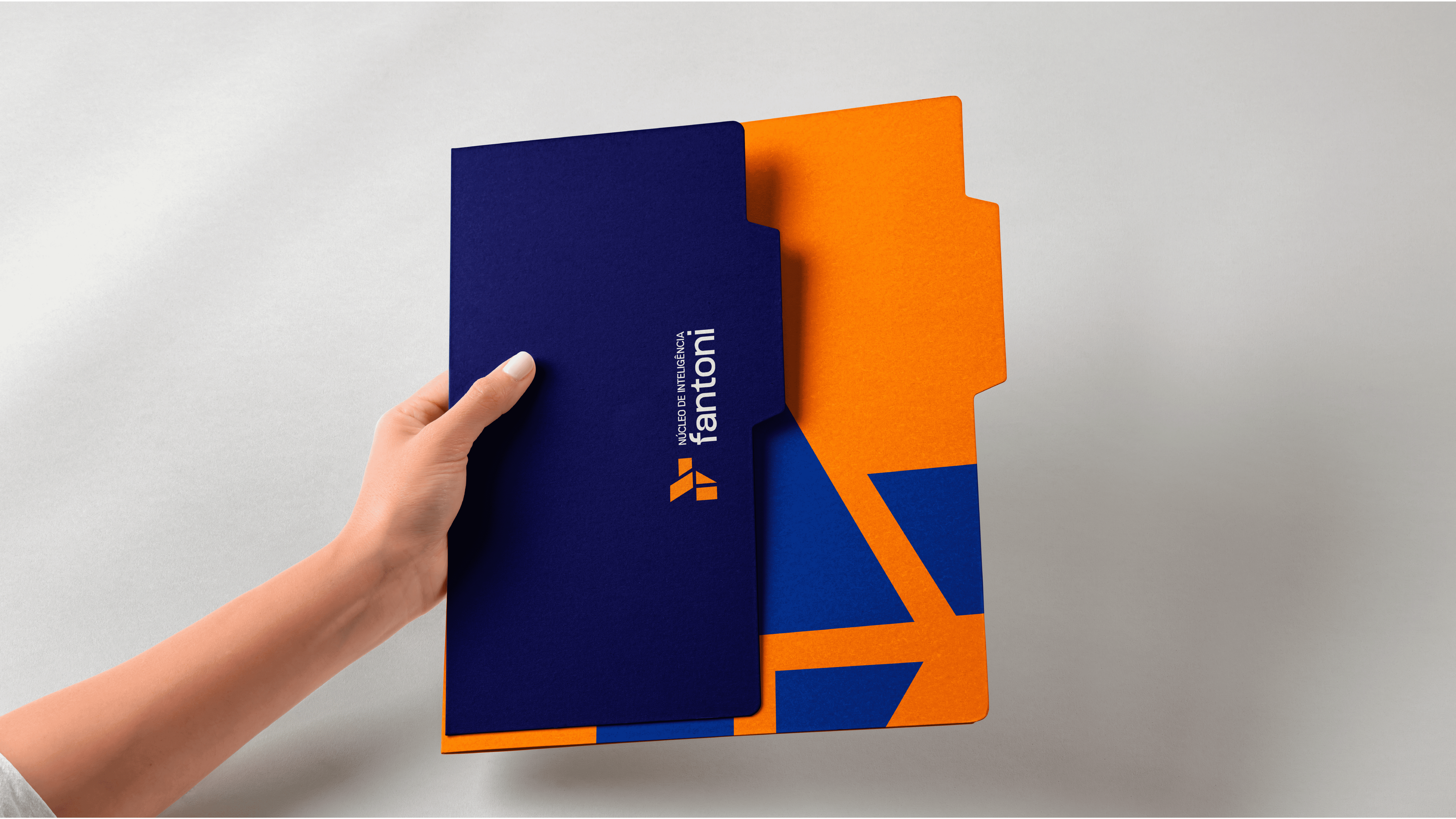 Example of Visual Identity - Núcleo de Inteligência Fantoni