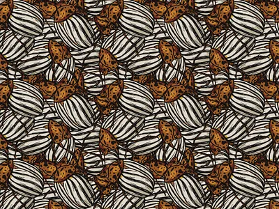 Insect Repeat Pattern of Potato Bugs background bugs clothing fabric hand drawn illustration art insects pattern print repeat seamless surface design textile wallpaper
