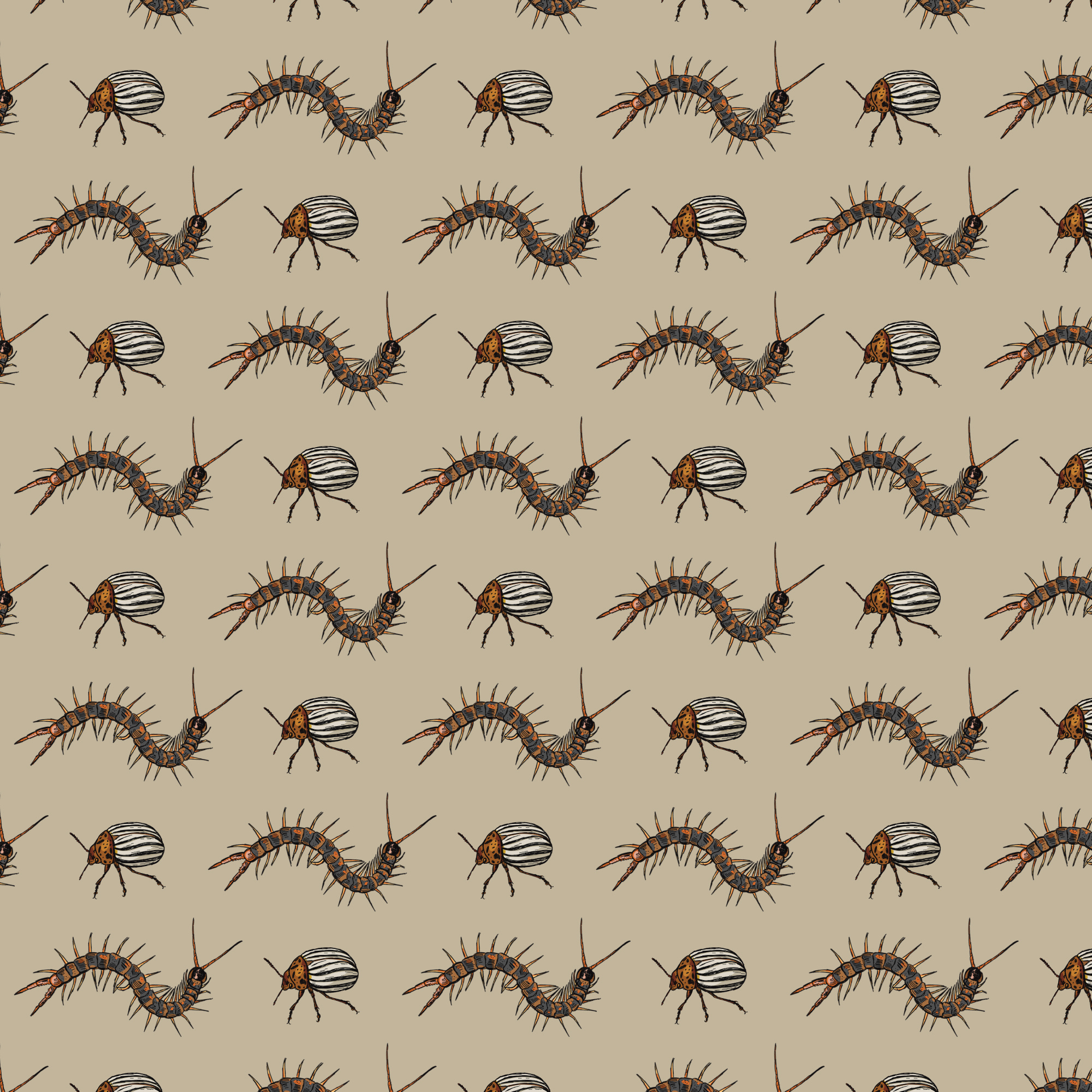 Insect Repeat Pattern Design - Boys Clothing apparel boys bug clothing fabric hand drawn insect pattern print repeat seamless textiles