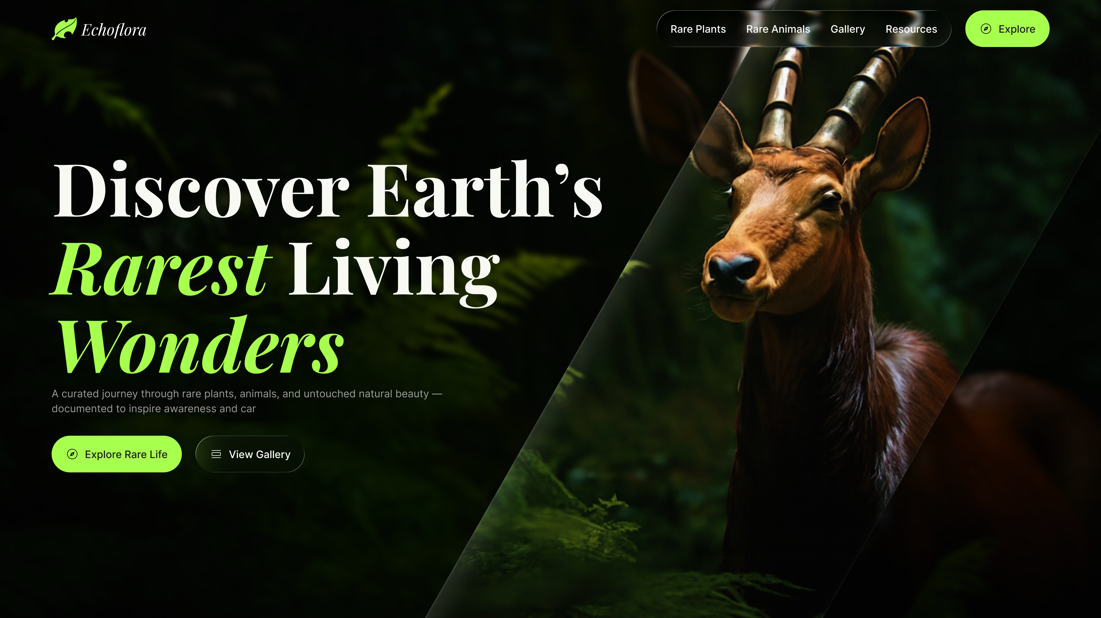 Browse thousands of Earth Website images for design inspiration | Dribbble
