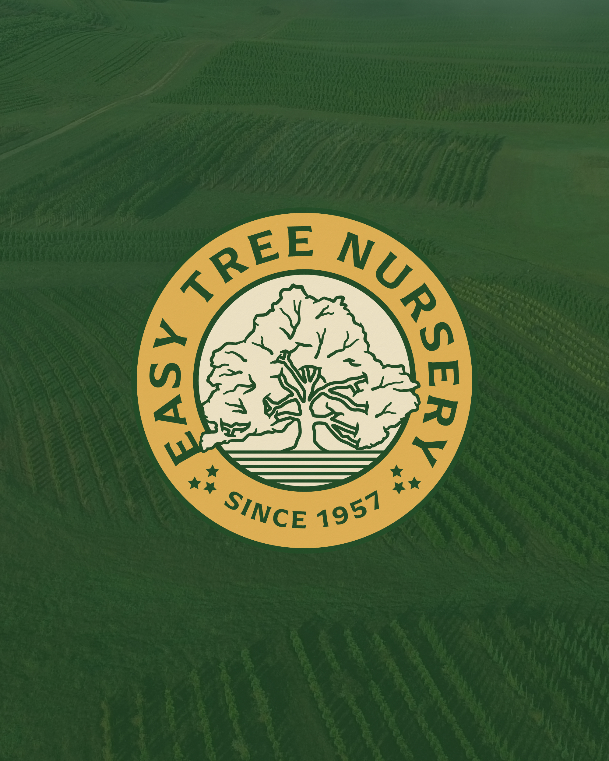 Easy Tree Nursery Branding, 2025 badge brand identity branding illustration logo nature nursery plants tennessee tn tree trees visual identity