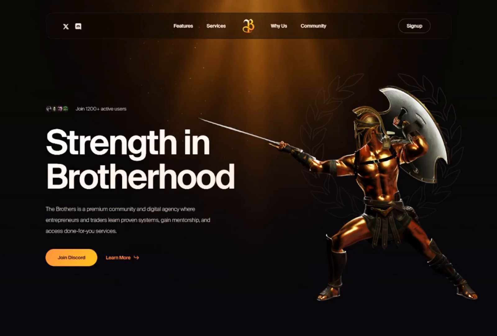Elegant Discord Community Website