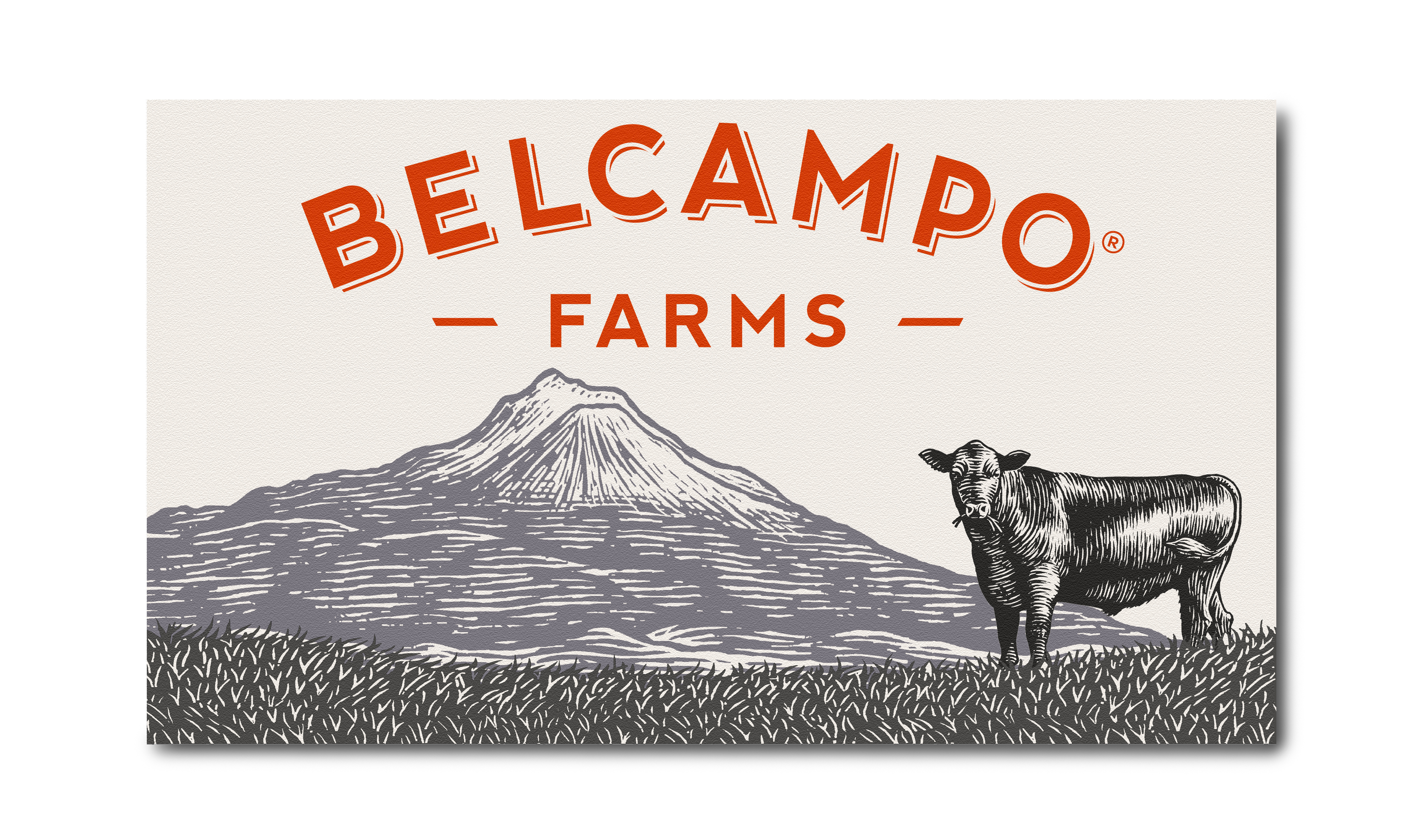 Belcampo Meats Packaging Illustrated by Steven Noble agriculture animal artwork branding design engraving etching farm farming illustration label line art packaging scratchboard steven noble woodcut