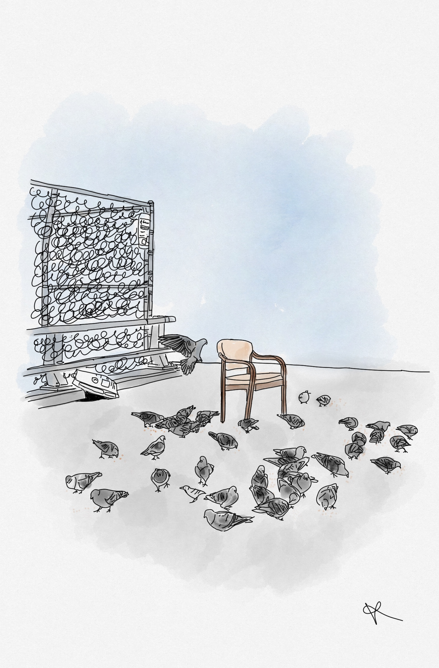 the pigeon lady digital art flat illustration illustration line art procreate sketch sketching street art watercolor