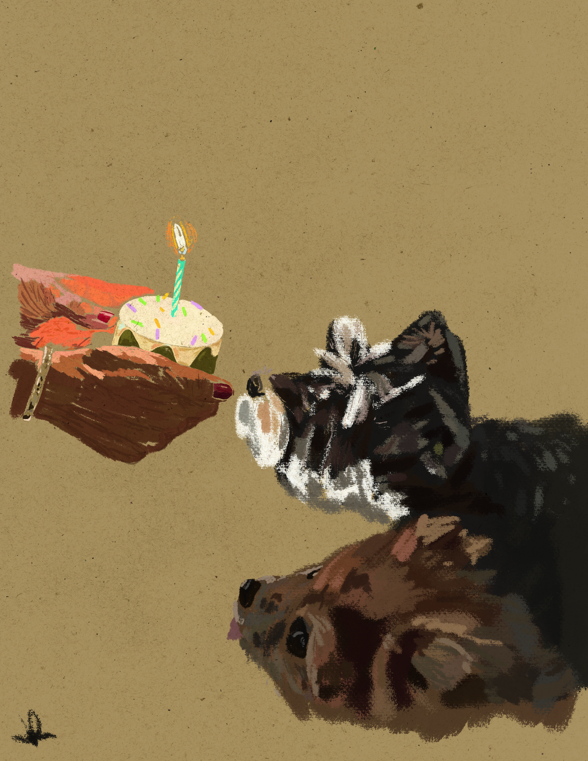 puppy party illustration pastel portrait procreate sketch sketching